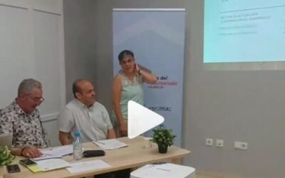 Entramos en la Plataforma del Voluntariado